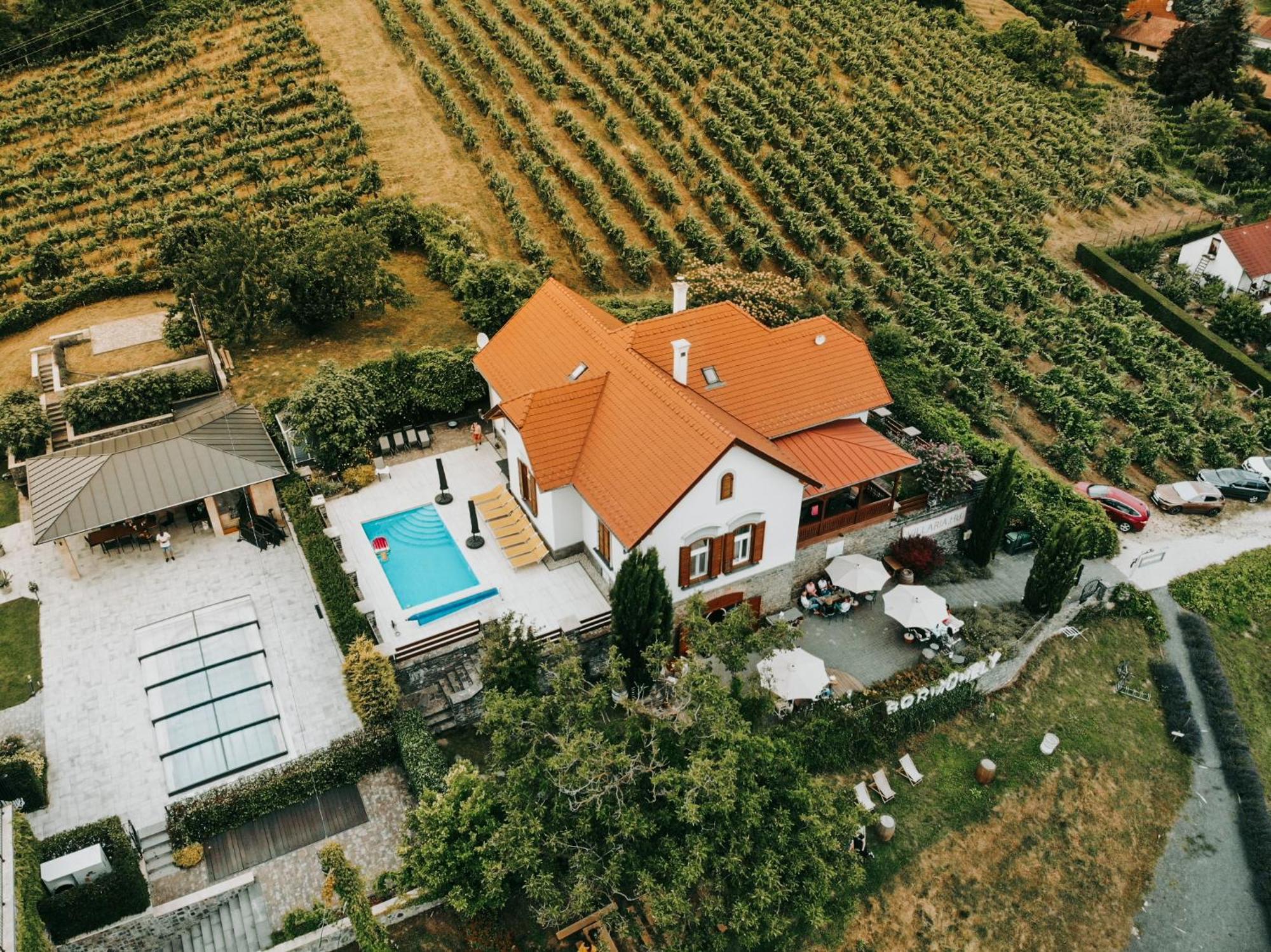 Badacsony Villa Ria Badacsonytomaj Exterior foto